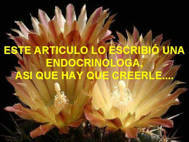 ESTE ARTICULO LO ESCRIBIÓ UNA ENDOCRINOLOGA, ASI QUE HAY QUE CREERLE. . 