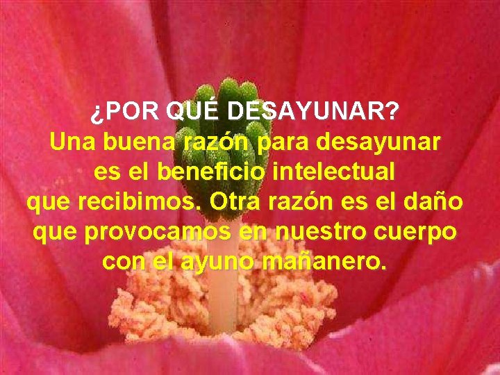 ¿POR QUÉ DESAYUNAR? Una buena razón para desayunar es el beneficio intelectual que recibimos.