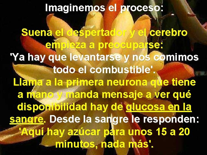 Imaginemos el proceso: Suena el despertador y el cerebro empieza a preocuparse: 'Ya hay
