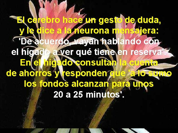 El cerebro hace un gesto de duda, y le dice a la neurona mensajera: