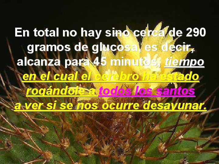 En total no hay sino cerca de 290 gramos de glucosa, es decir, alcanza