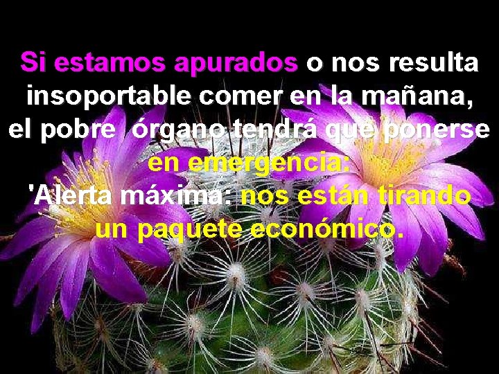 Si estamos apurados o nos resulta insoportable comer en la mañana, el pobre órgano