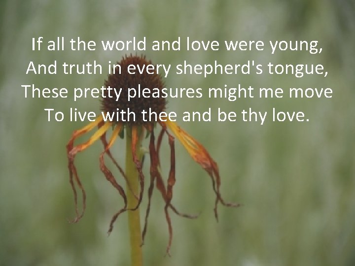 If all the world and love were young, And truth in every shepherd's tongue,