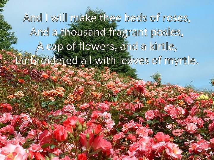 And I will make thee beds of roses, And a thousand fragrant posies, A And I will make thee beds of roses, And a thousand fragrant posies, A