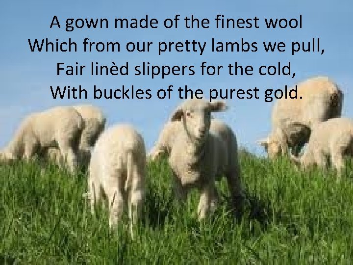 A gown made of the finest wool Which from our pretty lambs we pull,
