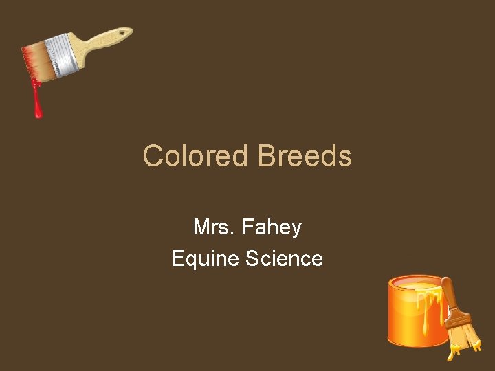 Colored Breeds Mrs. Fahey Equine Science 