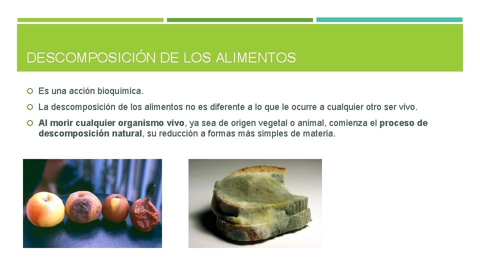 DESCOMPOSICIÓN DE LOS ALIMENTOS Es una acción bioquímica. La descomposición de los alimentos no