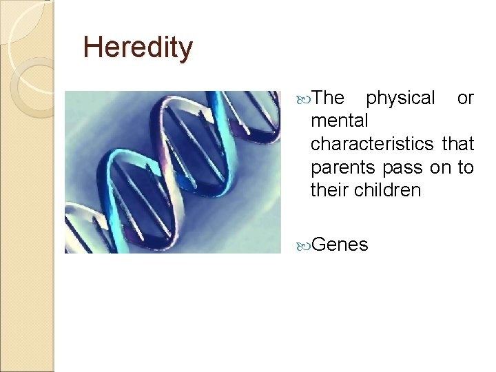 Heredity The physical or mental characteristics that parents pass on to their children Genes