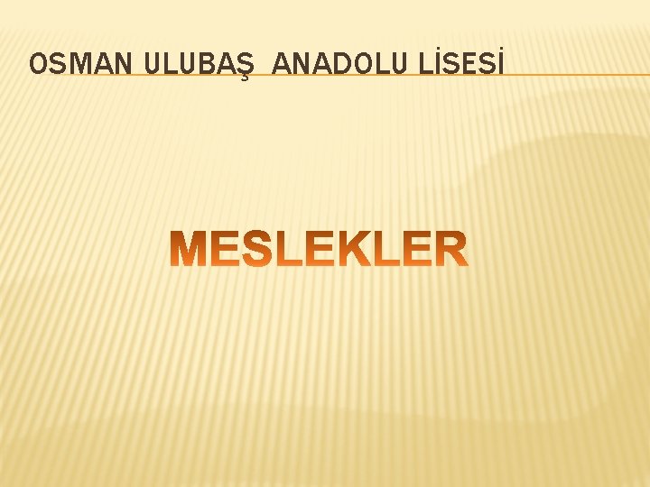 OSMAN ULUBAŞ ANADOLU LİSESİ 