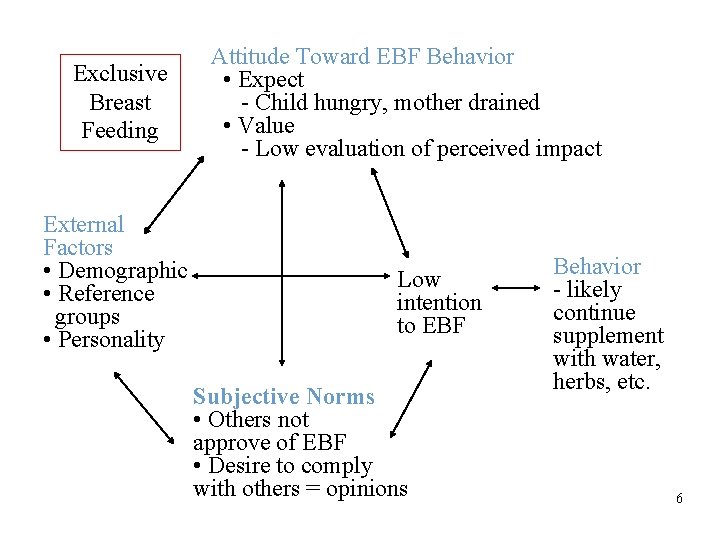 Exclusive Breast Feeding External Factors • Demographic • Reference groups • Personality Attitude Toward