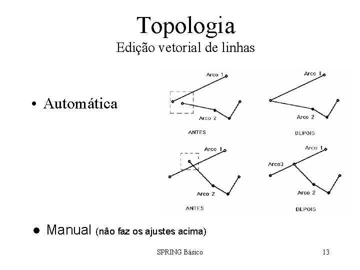 Topologia Edição vetorial de linhas • Automática l Manual (não faz os ajustes acima)