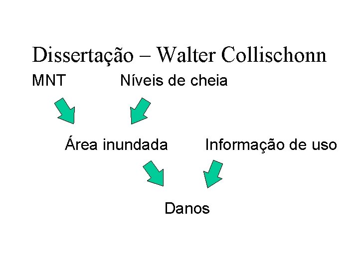 Dissertação – Walter Collischonn MNT Níveis de cheia Área inundada Informação de uso Danos