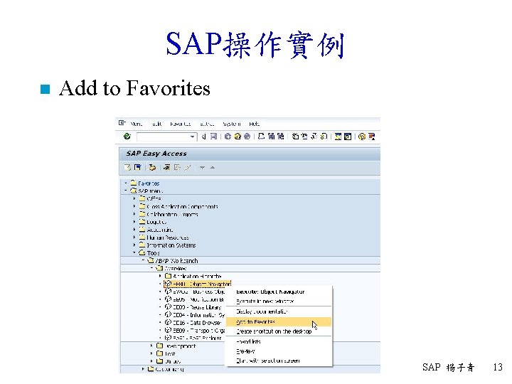 SAP操作實例 n Add to Favorites SAP 楊子青 13 