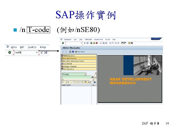 SAP操作實例 n /n T-code (例如/n. SE 80) SAP 楊子青 14 