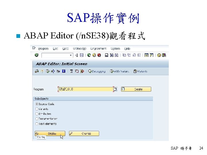 SAP操作實例 n ABAP Editor (/n. SE 38)觀看程式 SAP 楊子青 24 