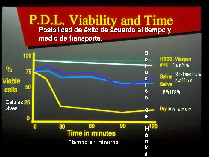 48 Posibilidad de éxito de acuerdo al tiempo y medio de transporte. S o 48 Posibilidad de éxito de acuerdo al tiempo y medio de transporte. S o
