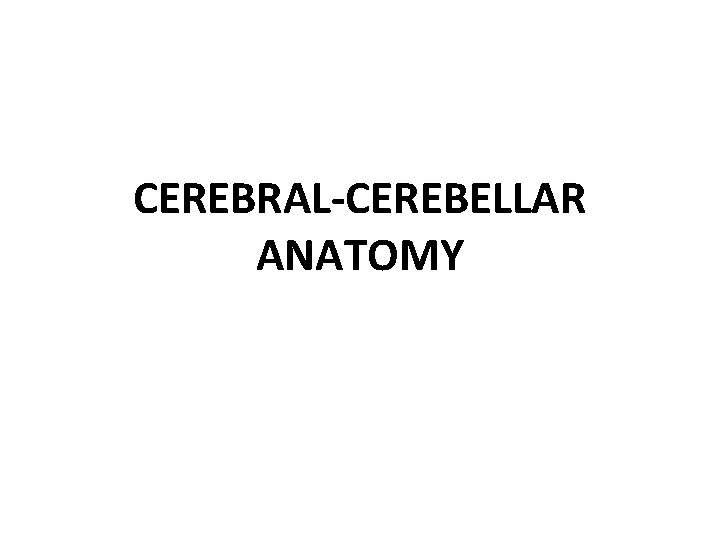 CEREBRAL-CEREBELLAR ANATOMY 