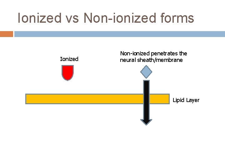 Ionized vs Non-ionized forms Ionized Non-ionized penetrates the neural sheath/membrane Lipid Layer 