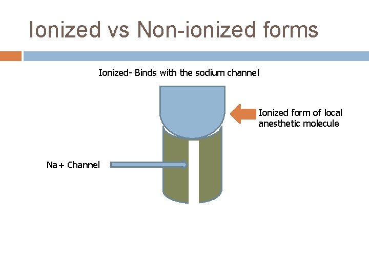 Ionized vs Non-ionized forms Ionized- Binds with the sodium channel Ionized form of local