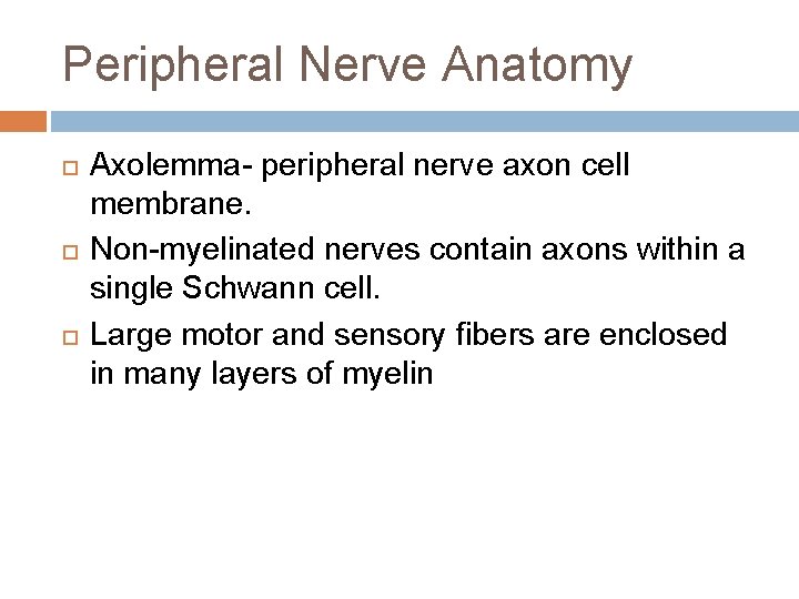 Peripheral Nerve Anatomy Axolemma- peripheral nerve axon cell membrane. Non-myelinated nerves contain axons within
