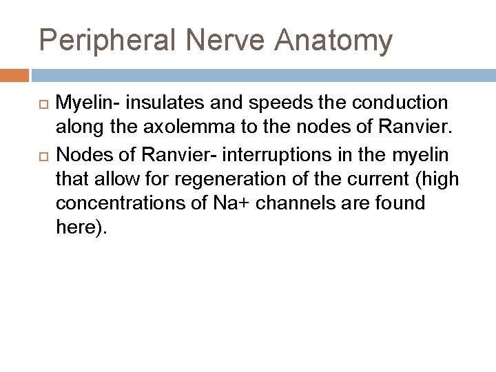 Peripheral Nerve Anatomy Myelin- insulates and speeds the conduction along the axolemma to the