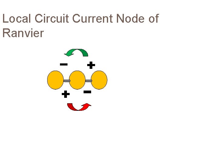 Local Circuit Current Node of Ranvier 