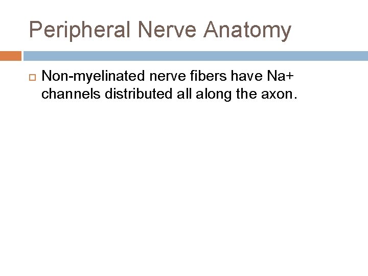 Peripheral Nerve Anatomy Non-myelinated nerve fibers have Na+ channels distributed all along the axon.