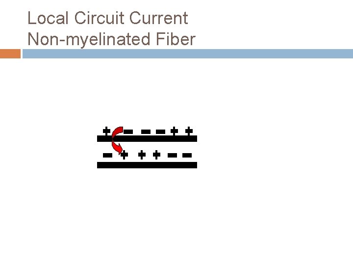 Local Circuit Current Non-myelinated Fiber 