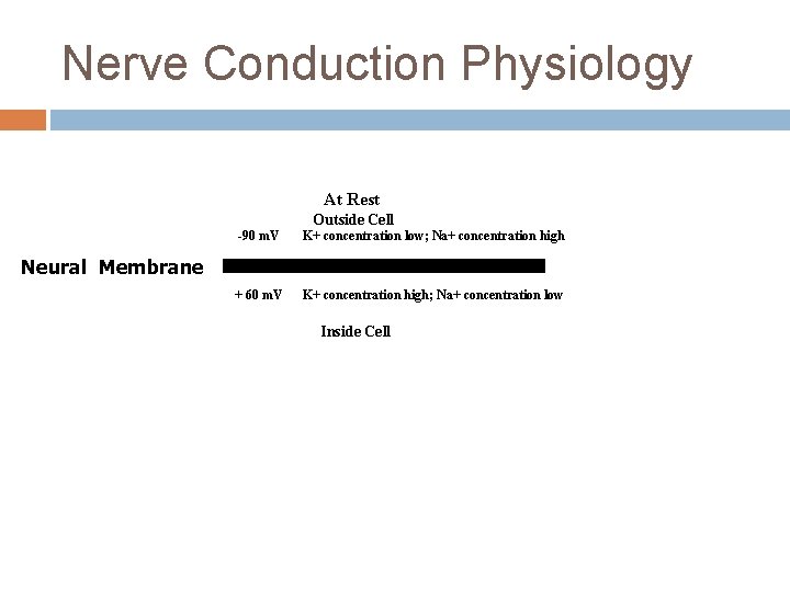 Nerve Conduction Physiology At Rest Outside Cell -90 m. V K+ concentration low; Na+