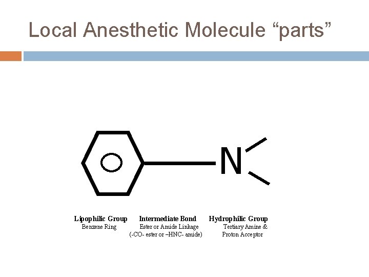Local Anesthetic Molecule “parts” N Lipophilic Group Intermediate Bond Benzene Ring Ester or Amide