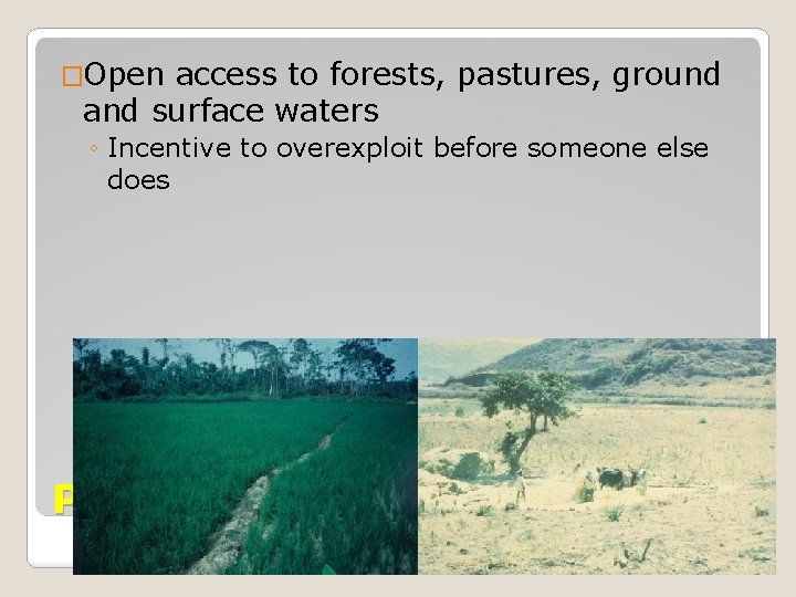 �Open access to forests, pastures, ground and surface waters ◦ Incentive to overexploit before