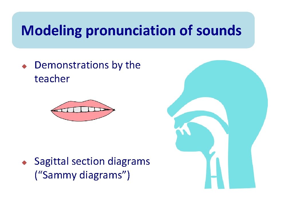 Modeling pronunciation of sounds u u Demonstrations by the teacher Sagittal section diagrams (“Sammy