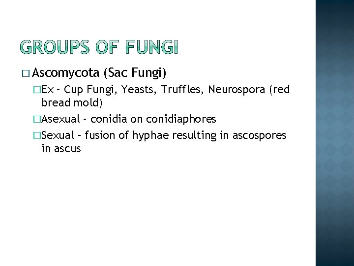 � Ascomycota �Ex (Sac Fungi) – Cup Fungi, Yeasts, Truffles, Neurospora (red bread mold)