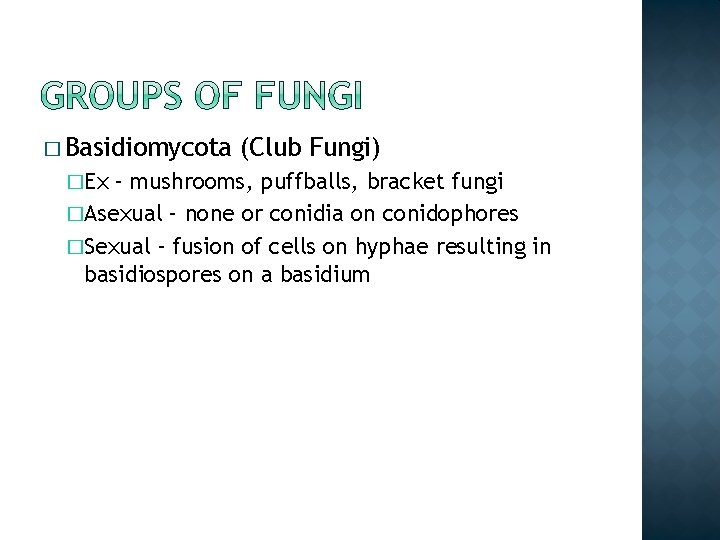 � Basidiomycota �Ex (Club Fungi) – mushrooms, puffballs, bracket fungi �Asexual – none or