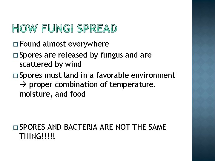 � Found almost everywhere � Spores are released by fungus and are scattered by