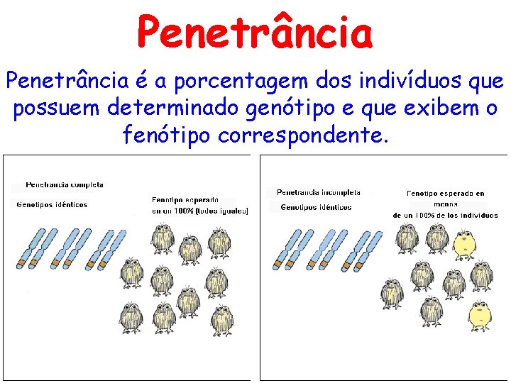 Penetrância é a porcentagem dos indivíduos que possuem determinado genótipo e que exibem o