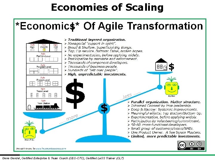 Economies of Scaling Gene Gendel, Certified Enterprise & Team Coach (CEC-CTC), Certified Le. SS Economies of Scaling Gene Gendel, Certified Enterprise & Team Coach (CEC-CTC), Certified Le. SS