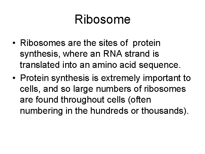 Ribosome • Ribosomes are the sites of protein synthesis, where an RNA strand is