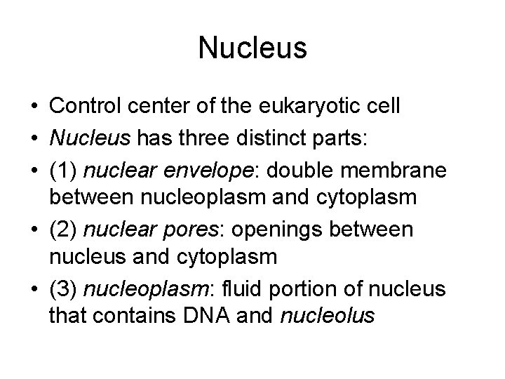 Nucleus • Control center of the eukaryotic cell • Nucleus has three distinct parts: