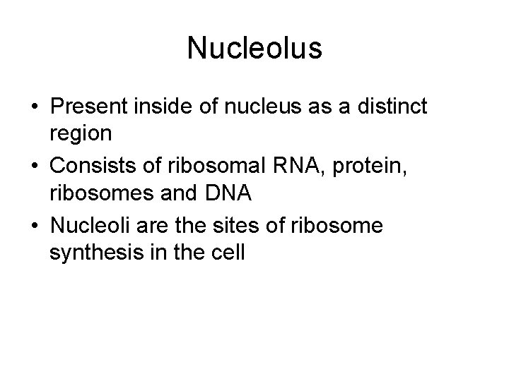 Nucleolus • Present inside of nucleus as a distinct region • Consists of ribosomal