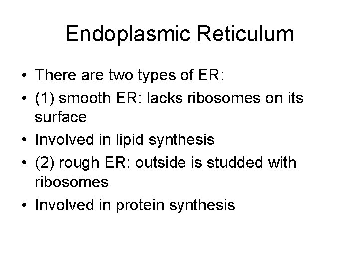 Endoplasmic Reticulum • There are two types of ER: • (1) smooth ER: lacks