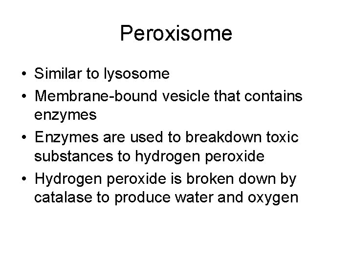 Peroxisome • Similar to lysosome • Membrane-bound vesicle that contains enzymes • Enzymes are