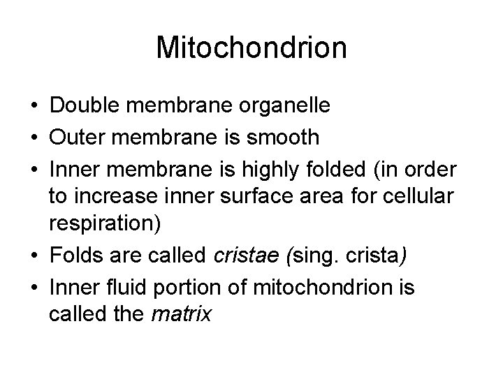 Mitochondrion • Double membrane organelle • Outer membrane is smooth • Inner membrane is