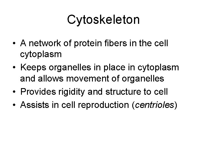 Cytoskeleton • A network of protein fibers in the cell cytoplasm • Keeps organelles