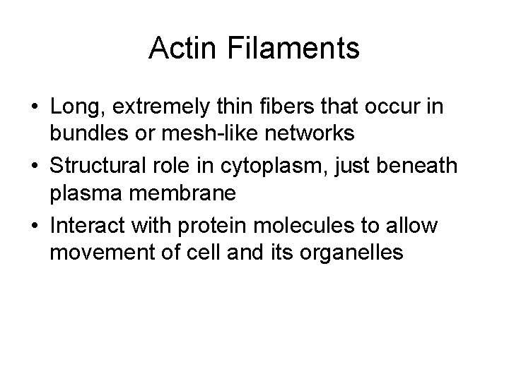 Actin Filaments • Long, extremely thin fibers that occur in bundles or mesh-like networks