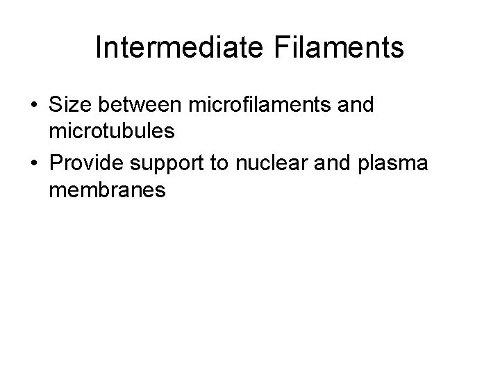 Intermediate Filaments • Size between microfilaments and microtubules • Provide support to nuclear and