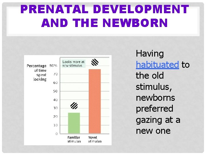 PRENATAL DEVELOPMENT AND THE NEWBORN Having habituated to the old stimulus, newborns preferred gazing