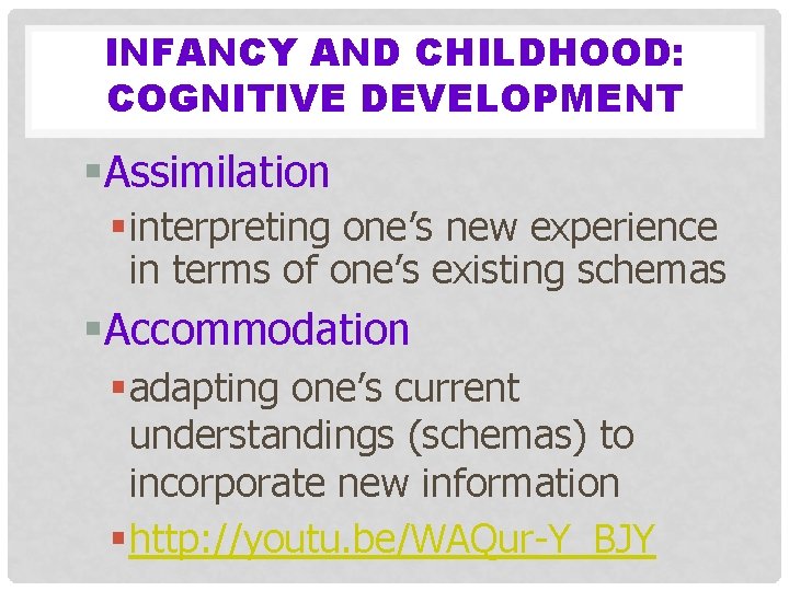 INFANCY AND CHILDHOOD: COGNITIVE DEVELOPMENT §Assimilation § interpreting one’s new experience in terms of