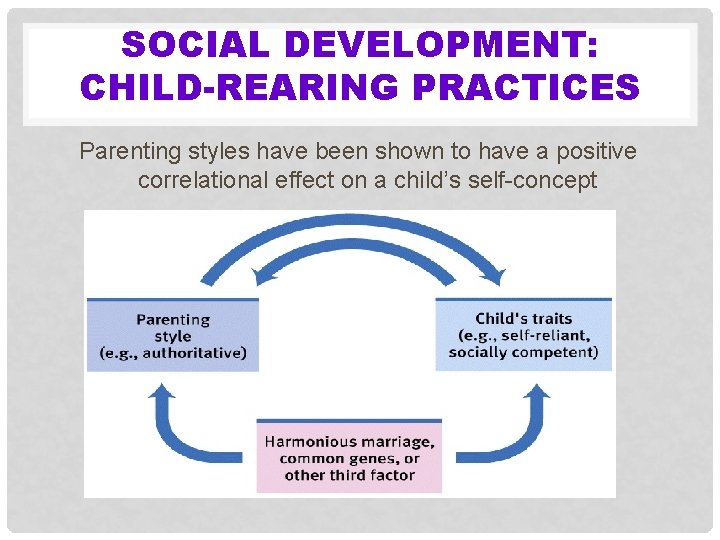 SOCIAL DEVELOPMENT: CHILD-REARING PRACTICES Parenting styles have been shown to have a positive correlational