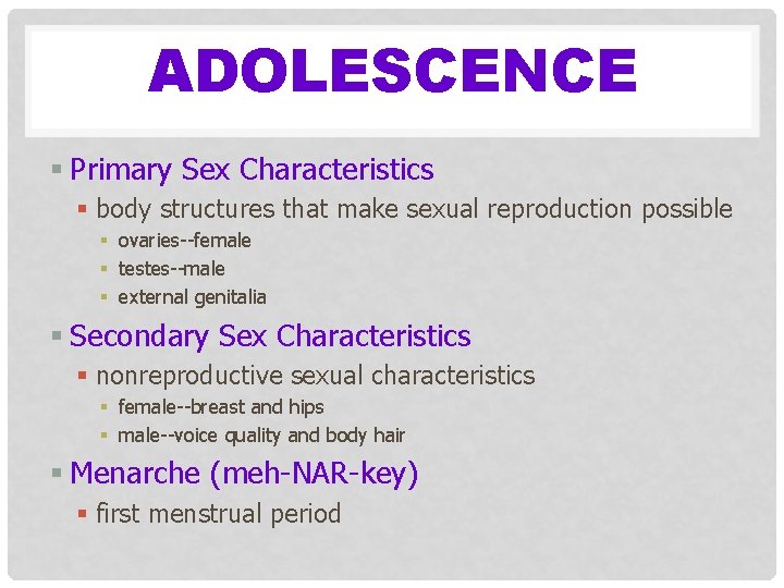ADOLESCENCE § Primary Sex Characteristics § body structures that make sexual reproduction possible §
